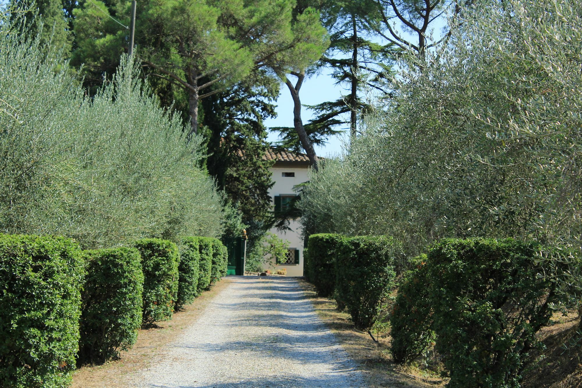 Agriturismo Villa La Morina Cortona Exterior photo